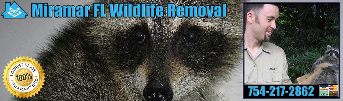 Miramar Wildlife and Animal Removal